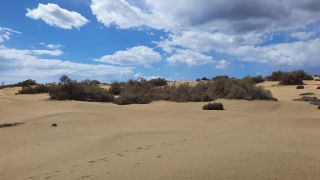 2023-GC--Mapalomas dunas-S123-049.jpg